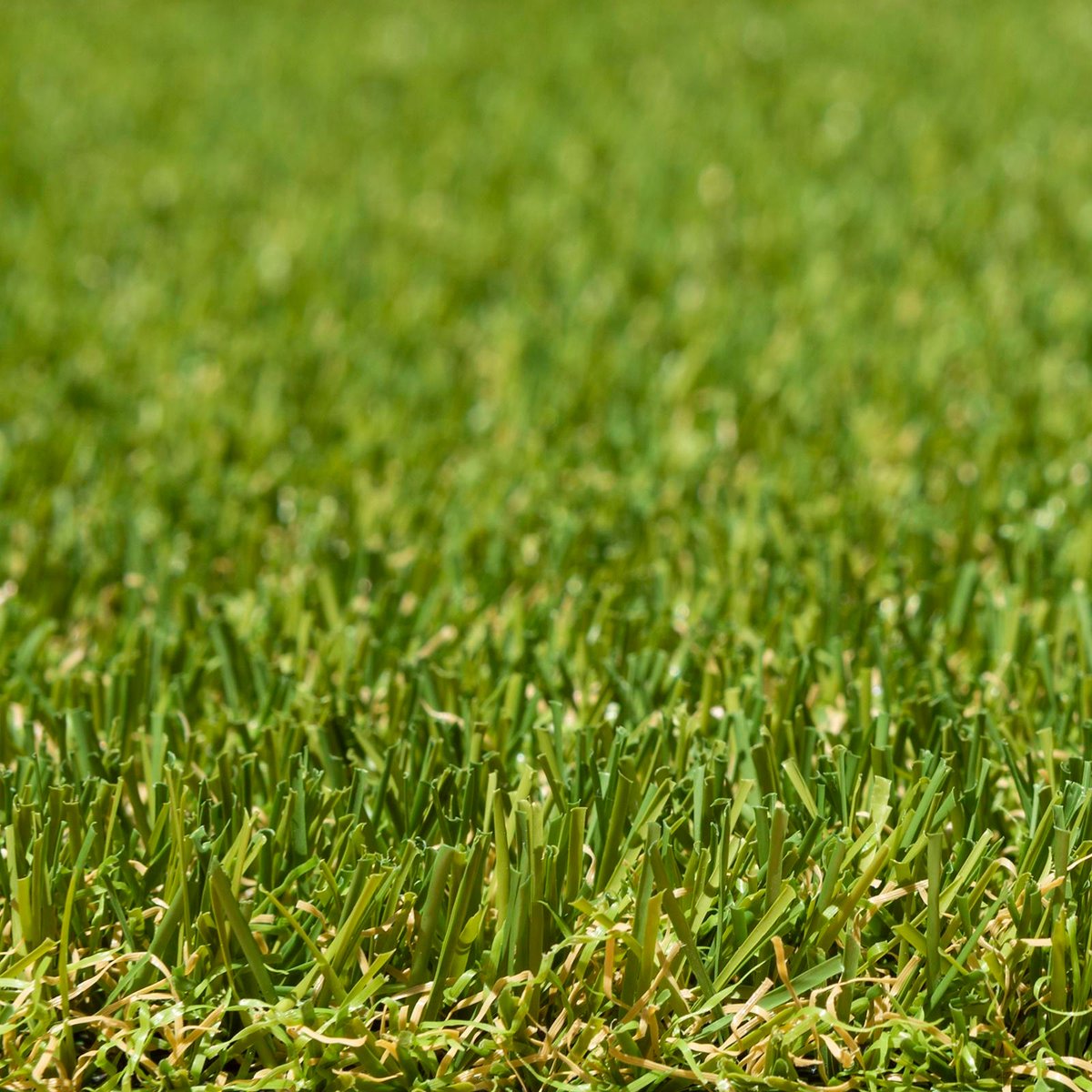 Lifestyle Turf - 1 x 4m - PP/PE - Pet Friendly