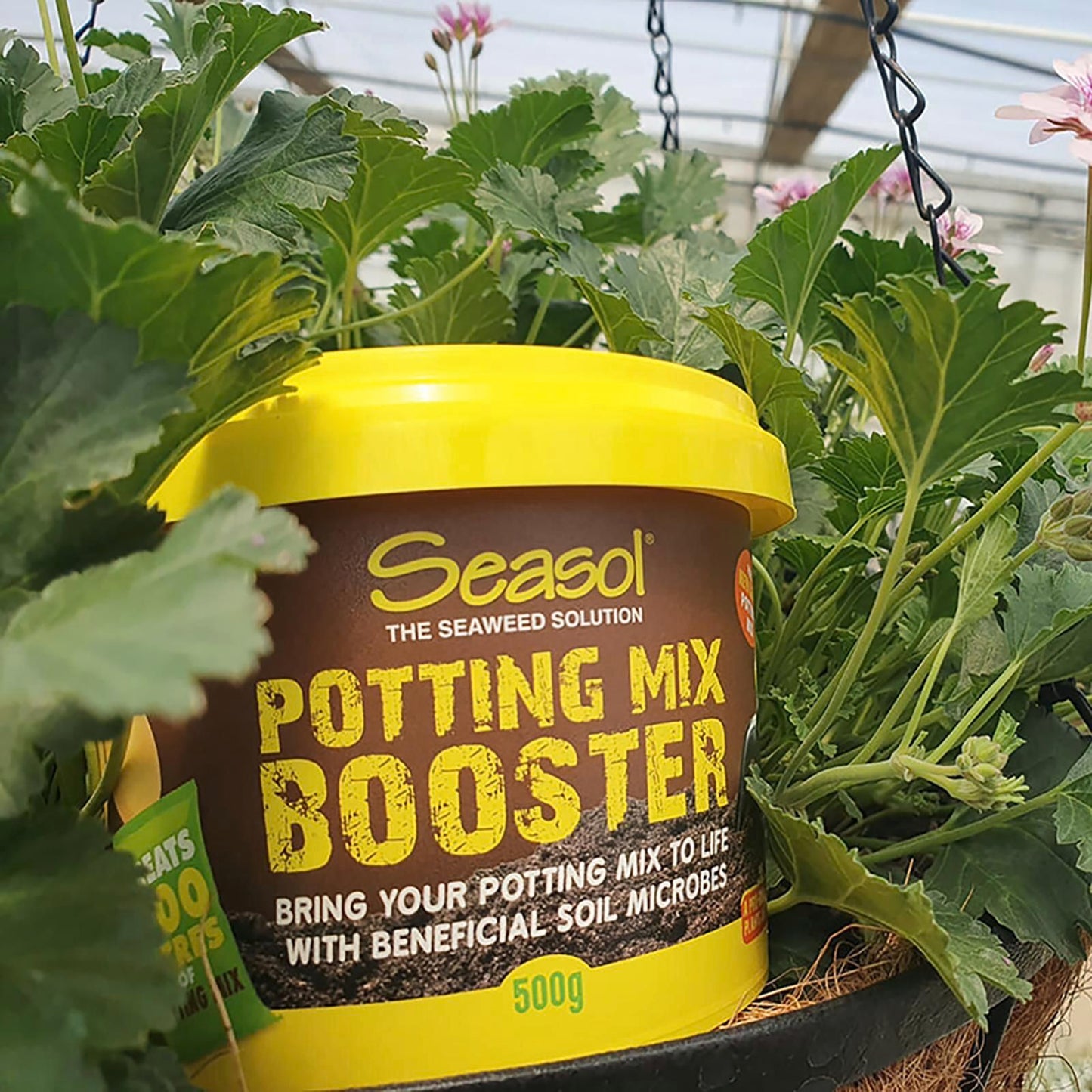 Seasol Potting Mix Booster - 500g - 200L