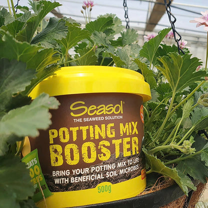 Seasol Potting Mix Booster - 500g - 200L