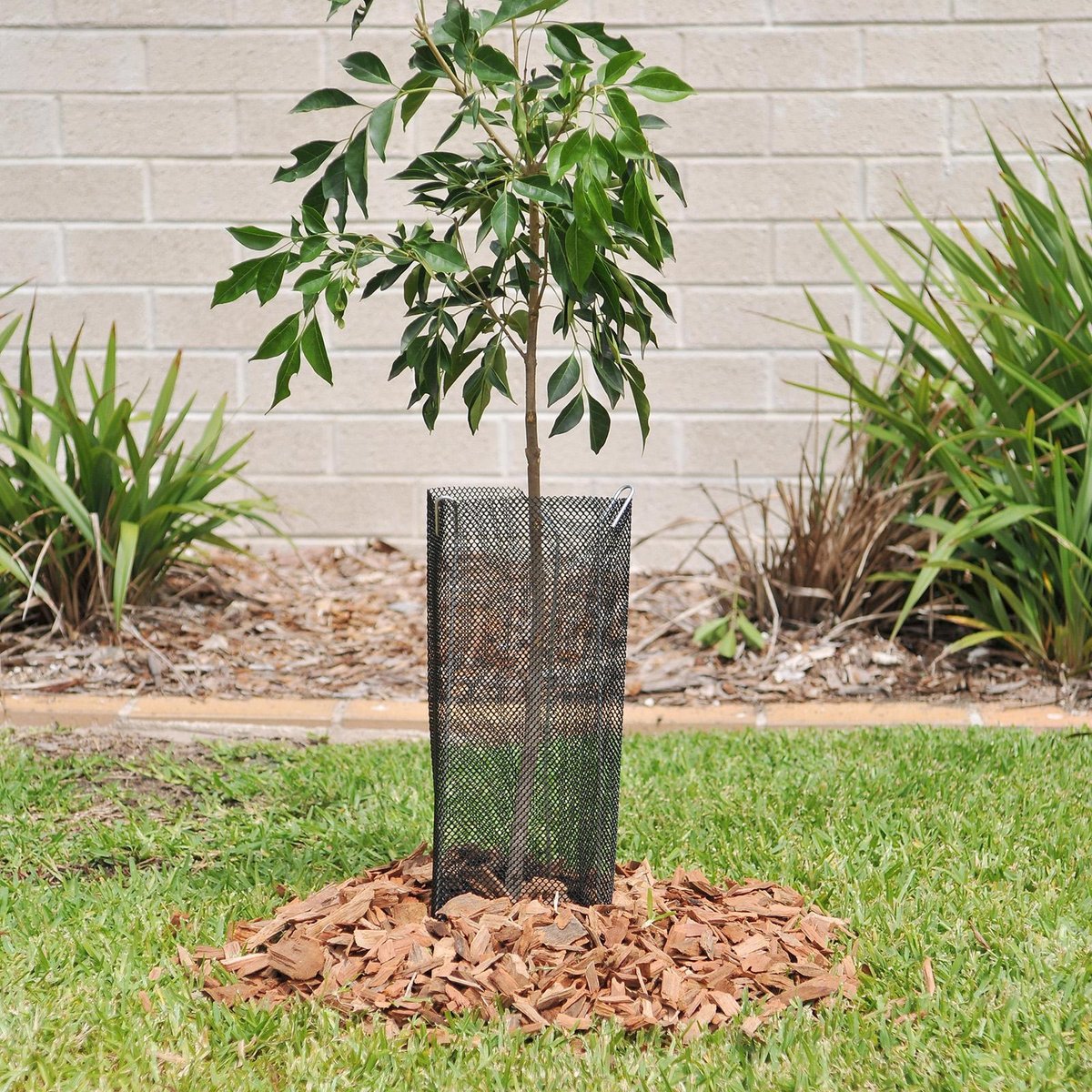 Jack Tree Tube - Protect Plants From Damage - Dia 400 x 144mm - 3 Pack