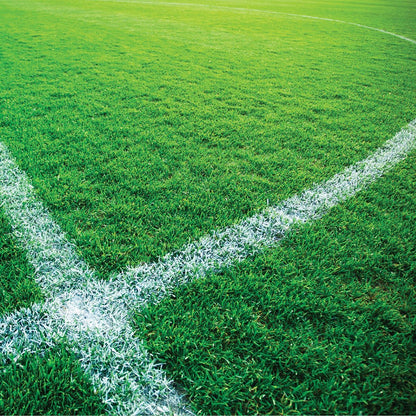 Dy-Mark Turf Master Grass Marking Paint 500g White Quick Dry