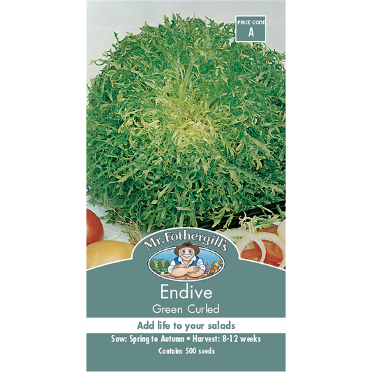Mr Fothergill Endive Vegetable Seeds