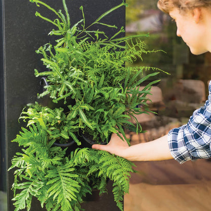 Holman Greenwall Slim Mounted Kit - 198mm x 535mm - Plastic - Outdoor Use