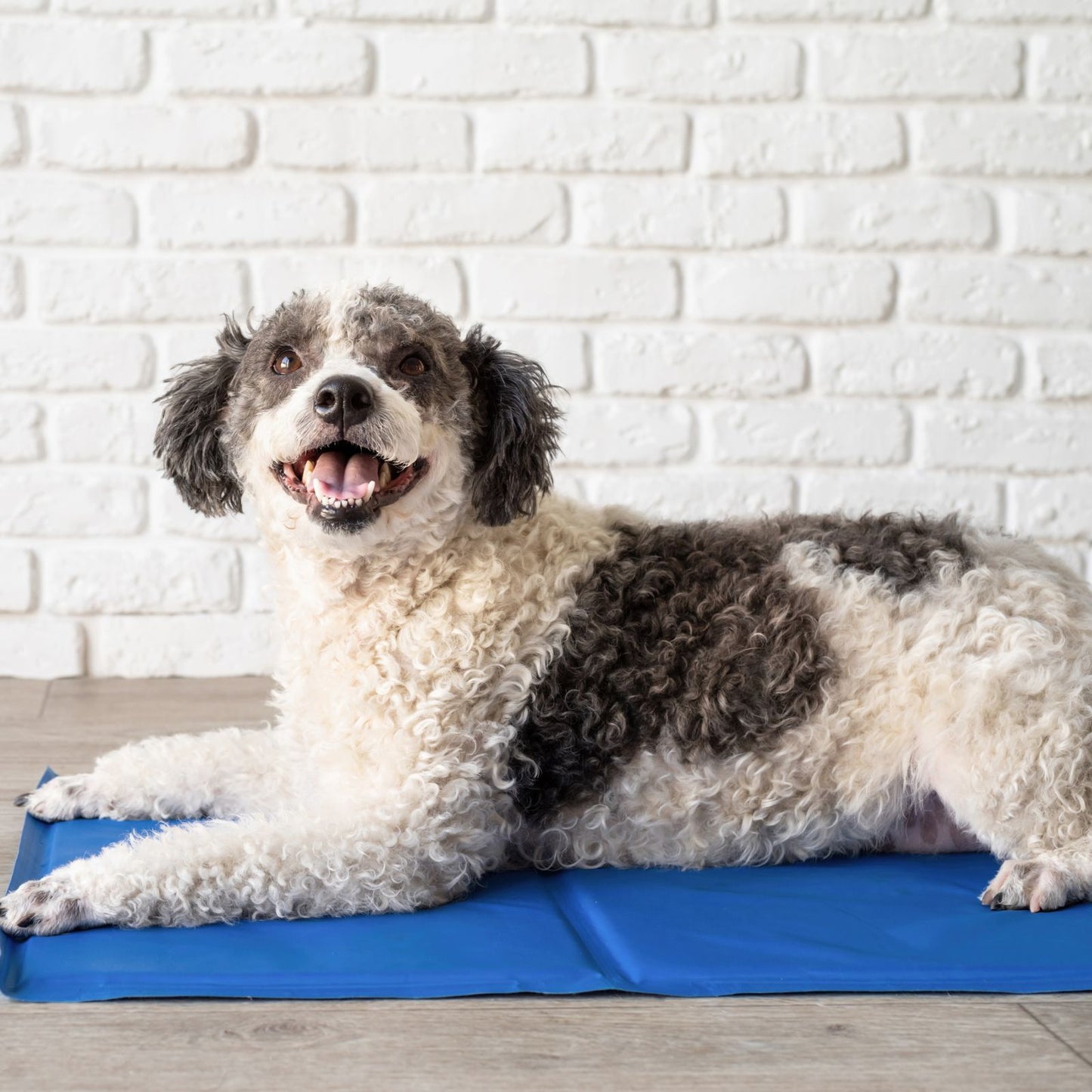 Pillar Pet Cooling Mat - 90 x 60cm