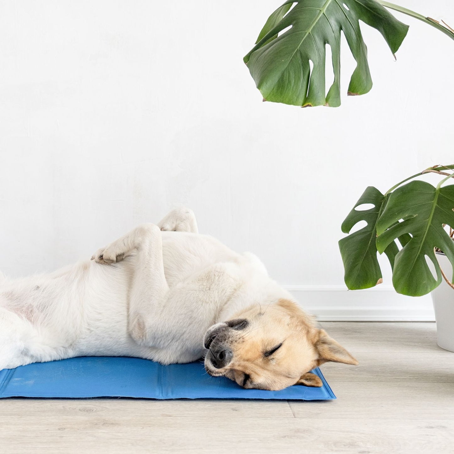 Pillar Pet Cooling Mat - 90 x 60cm