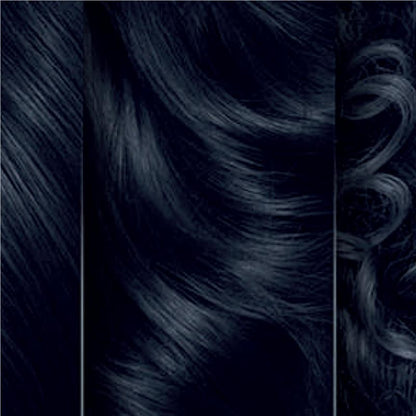 Clairol Natural Instincts Bold Blue Black Permanent Hair Colour