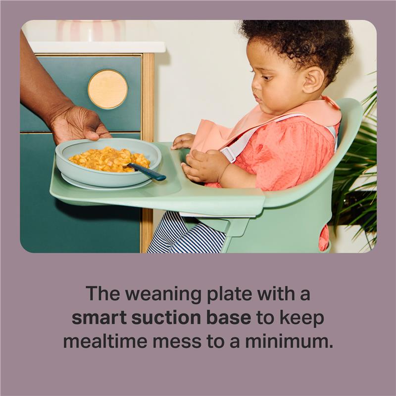 Tommee Tippee Silicone Plate for Babies