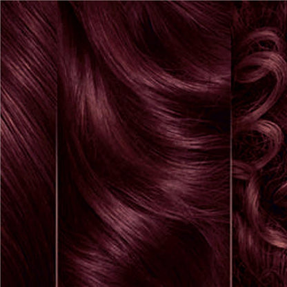 Clairol Natural Instincts Bold Deep Burgundy Permanent Hair Colour