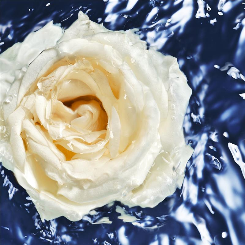 Davidoff Cool Water Oceanic For Women Eau de Toilette 100ml - Dive into Freshness