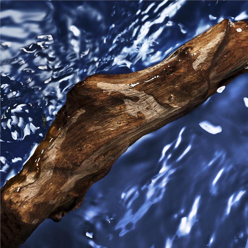 Davidoff Cool Water Oceanic For Women Eau de Toilette 100ml - Dive into Freshness