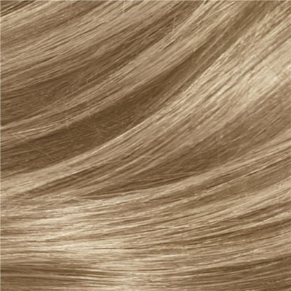 Clairol Frost & Tip