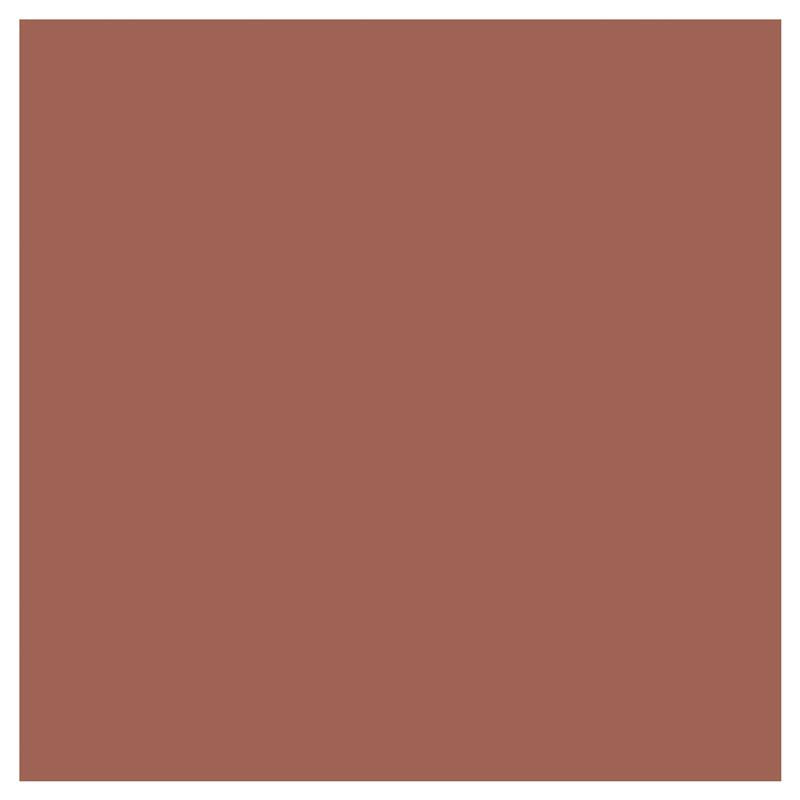Covergirl Outlast All-Day Lip Colour 110 Ripe Peach 2.3ml