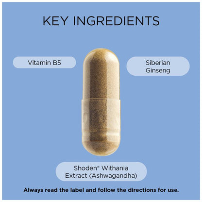 GO Healthy Ashwagandha Plus Stress & Energy 120 Hard Capsules Exclusive Size