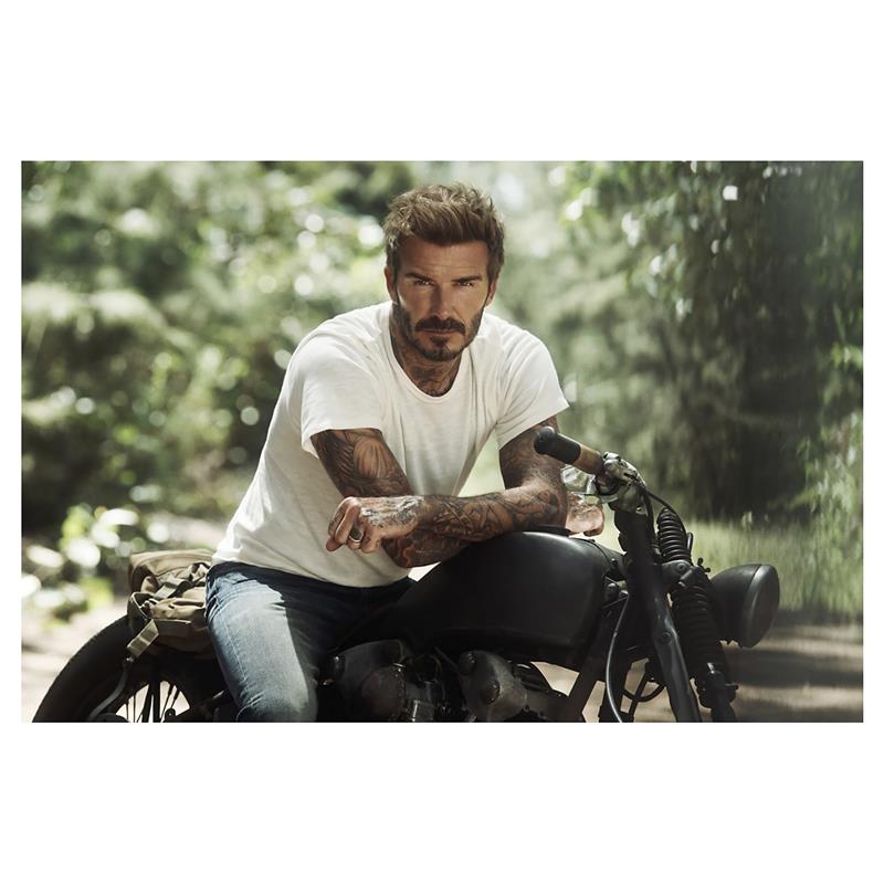 David Beckham Aromatic Greens Eau de Parfum 100ml