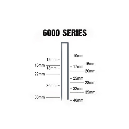 AIRCO 6000 Series Staples - 38 x 5.5mm SM60380