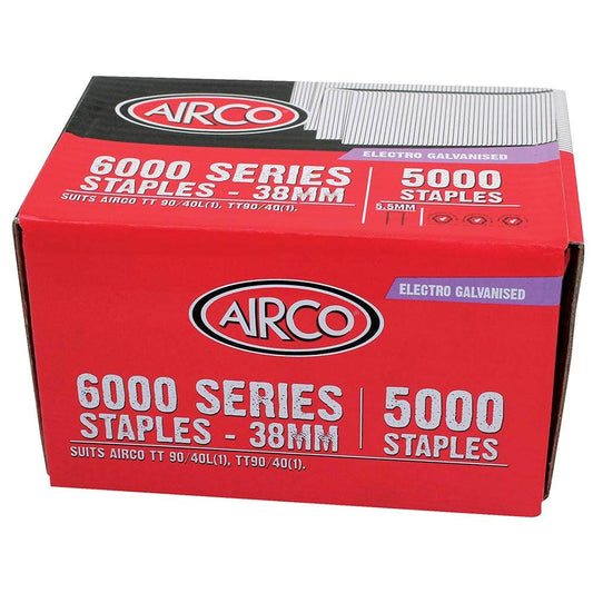 AIRCO 6000 Series Staples - 38 x 5.5mm SM60380