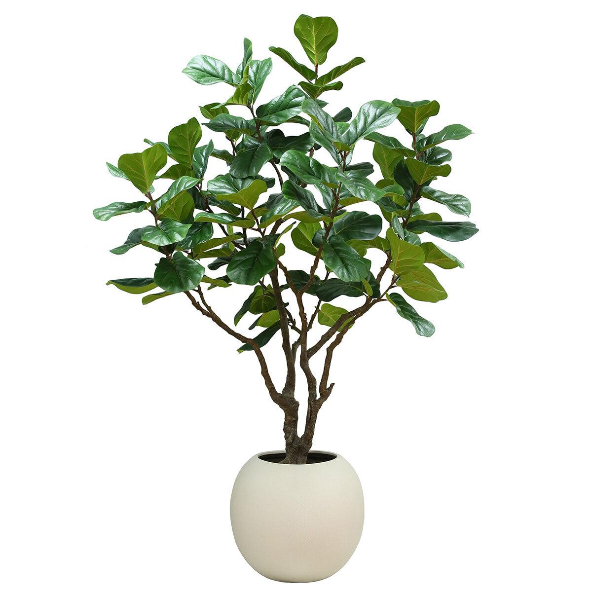 CGH Artificial Fiddle Leaf Fig Tree 2.4M