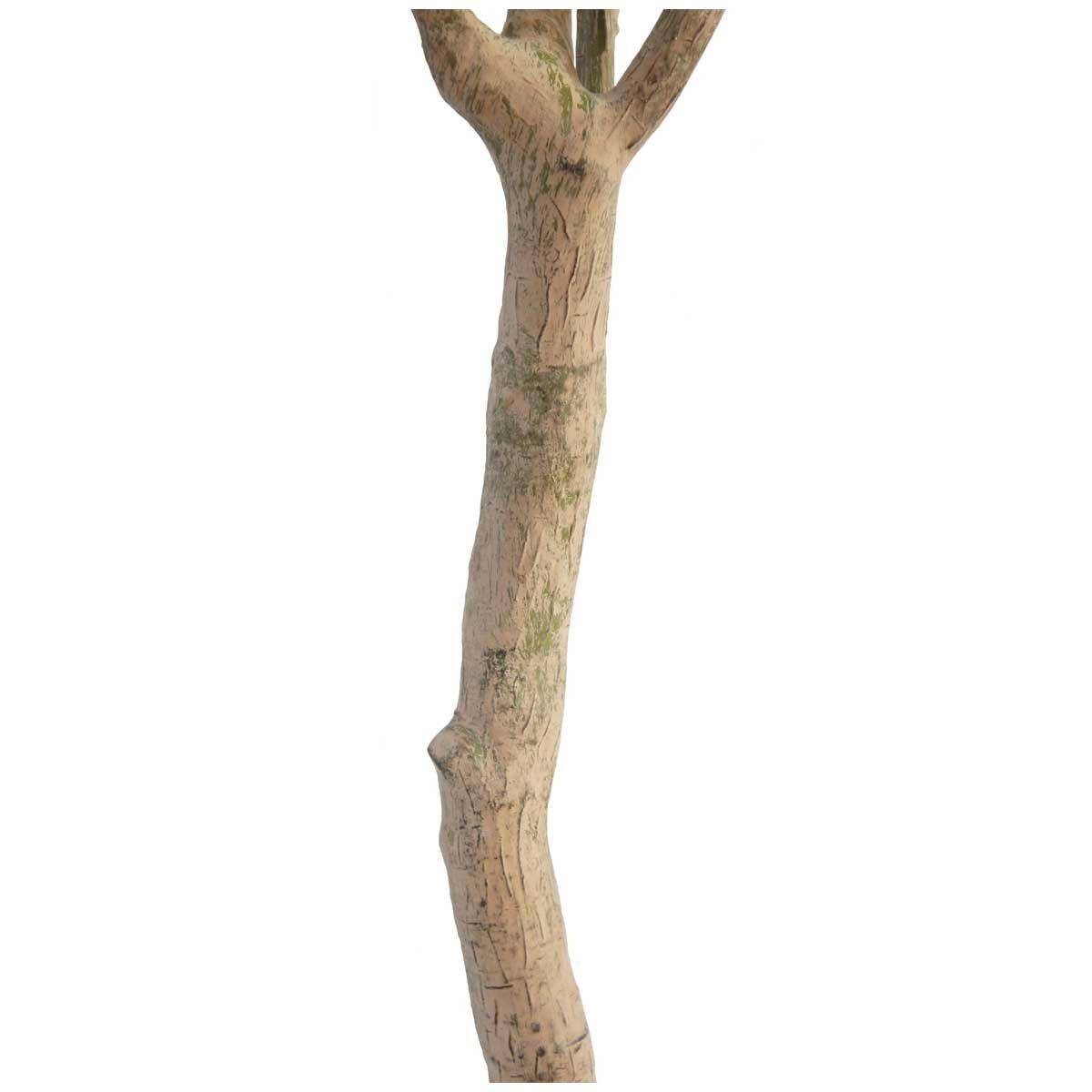 CGH Artificial Olive Tree 2M