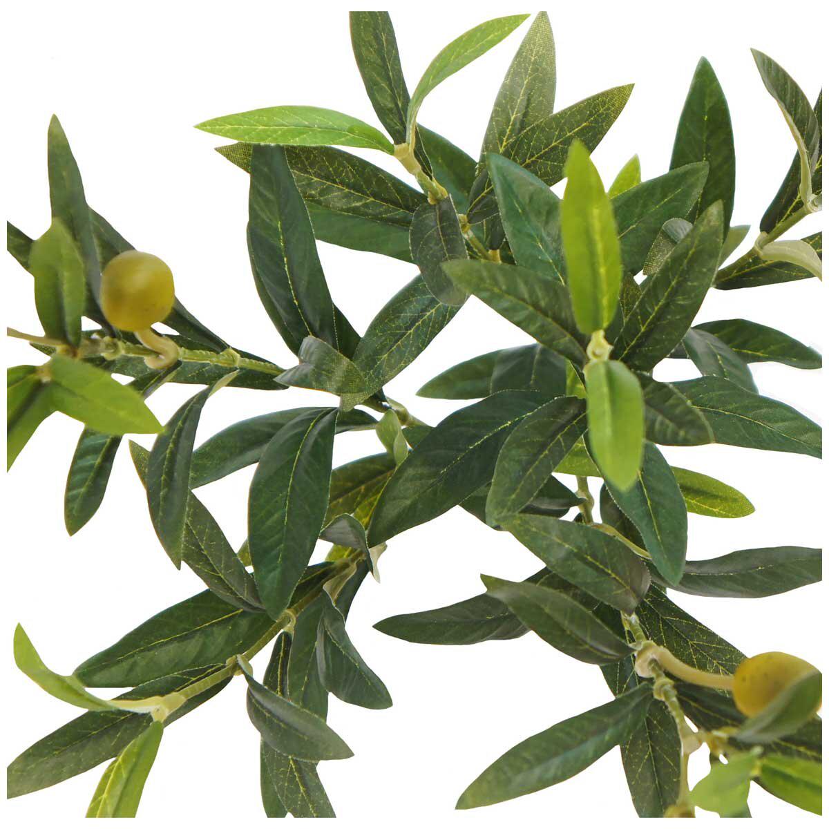 CGH Artificial Olive Tree 2M