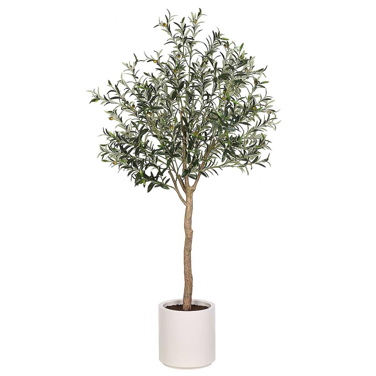 CGH Artificial Olive Tree 2M