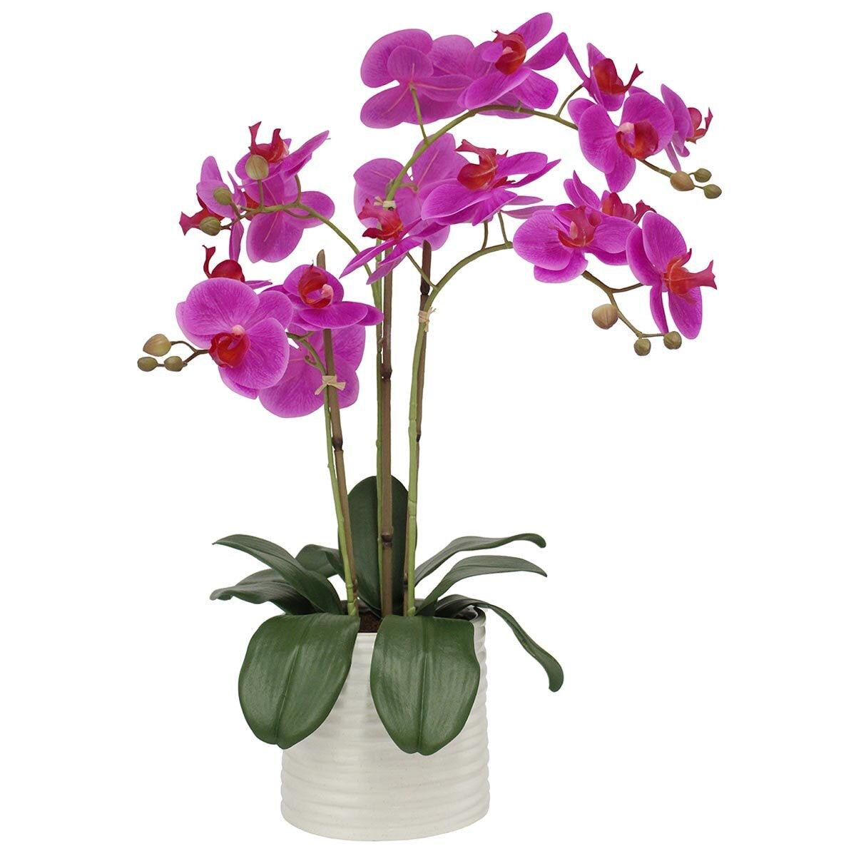 CGH Artificial Orchid With Ribbed Pot 67cm White