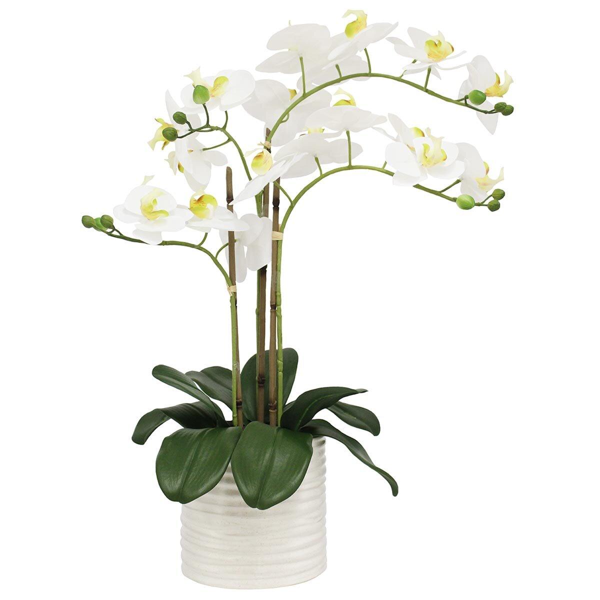 CGH Artificial Orchid With Ribbed Pot 67cm White