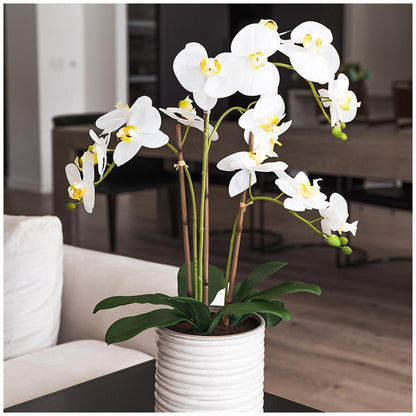 CGH Artificial Orchid With Ribbed Pot 67cm White