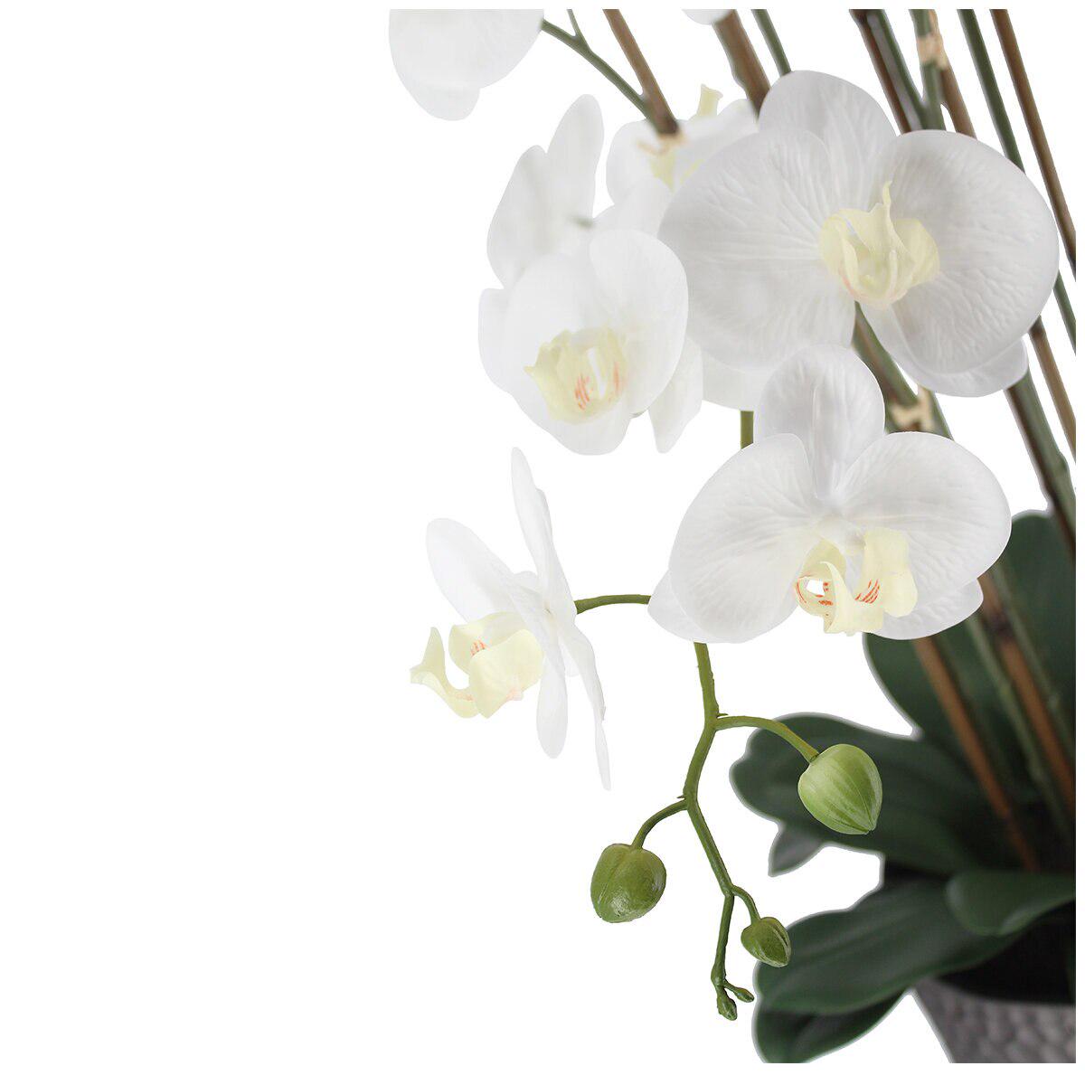 CGH Artificial Phalaenopsis Orchid Arrangement 1.2M White