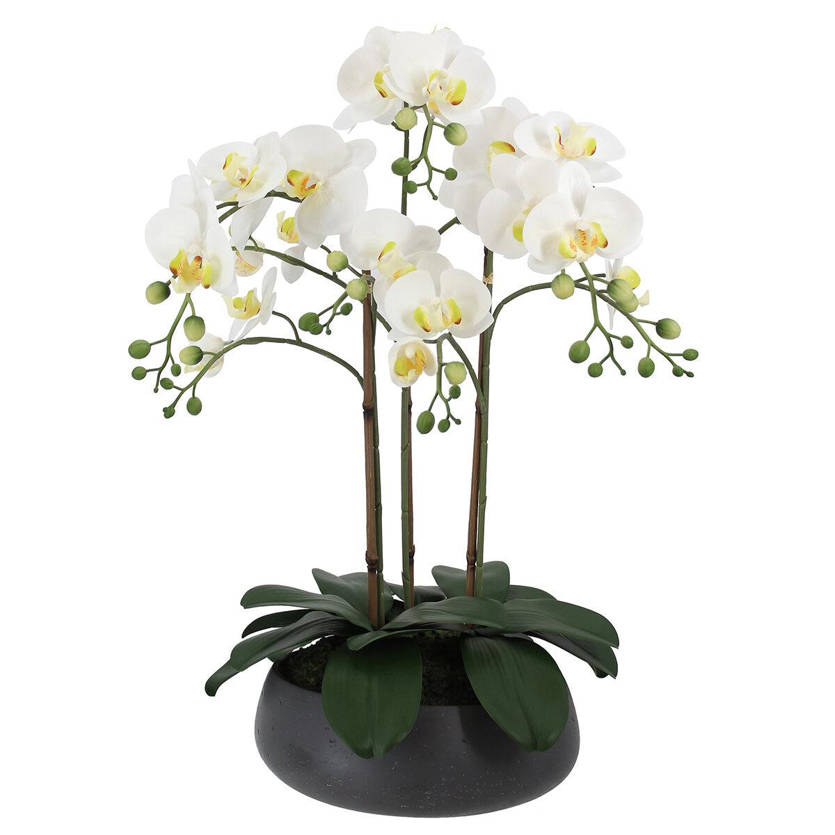 CGH Artificial Phalaenopsis Orchid Arrangement 61cm