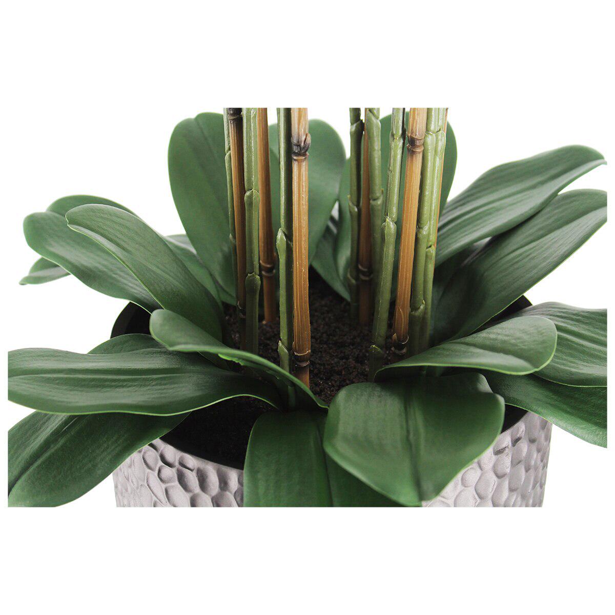 CGH Artificial Phalaenopsis Orchid Arrangement 1.2M White