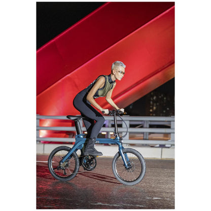 Fiido X Electric Bike FD01X1