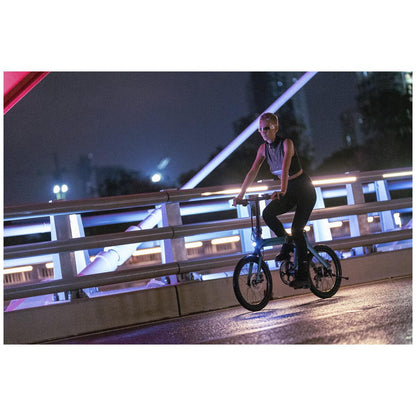 Fiido X Electric Bike FD01X1