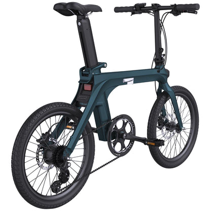 Fiido X Electric Bike FD01X1