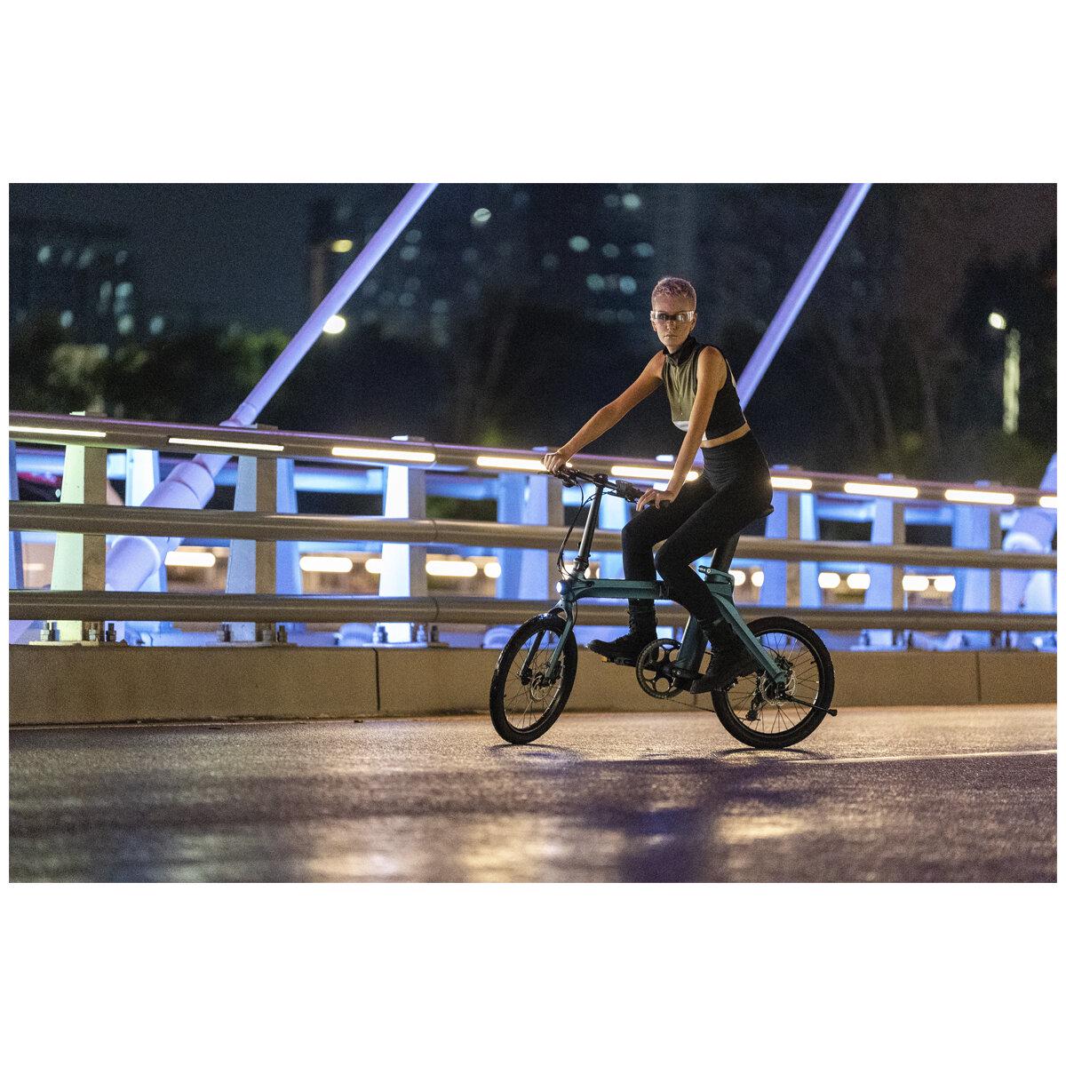Fiido X Electric Bike FD01X1