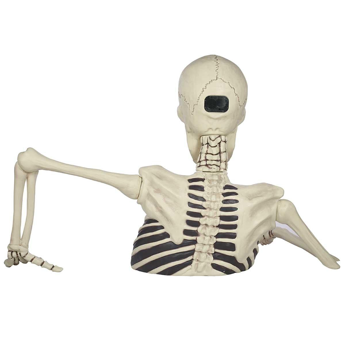 Giant Ground Breaking Skeleton 157cm