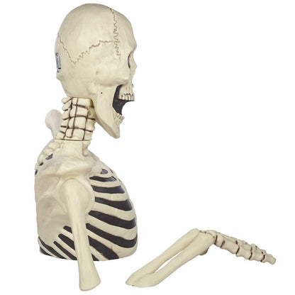 Giant Ground Breaking Skeleton 157cm