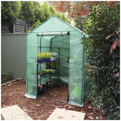 Greenlife Large Walk-in Greenhouse Twin Pack With PE Cover 195 x 143 x 143cm