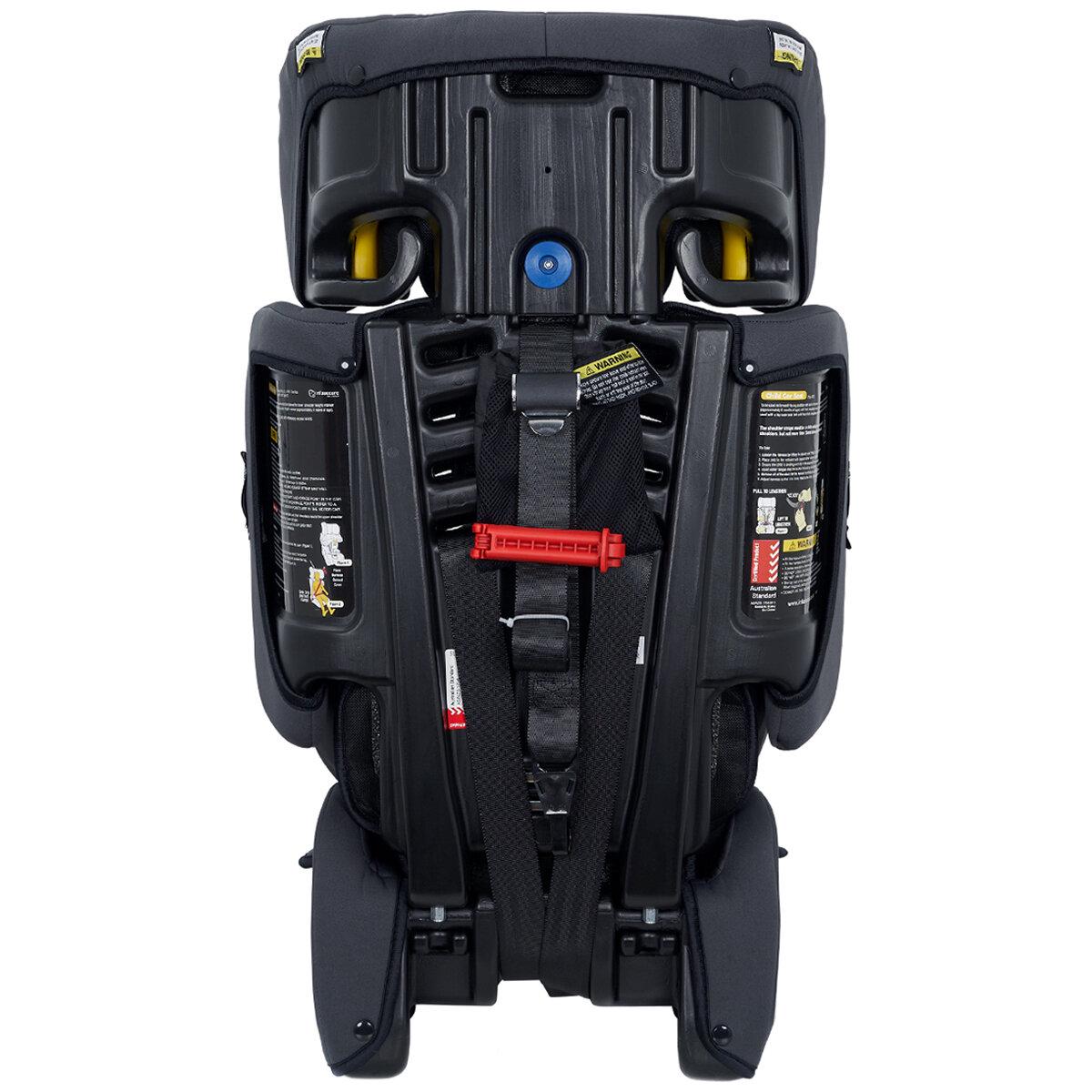 Infasecure Octave Convertible Booster Seat (6 Months - 8 Years)