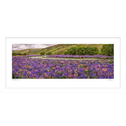 Ken Duncan Floral Canvas Framed White Print 60.9 x 127.6cm