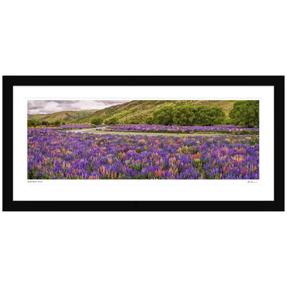 Ken Duncan Floral Canvas Framed Print Black 101.2 x 51.9cm