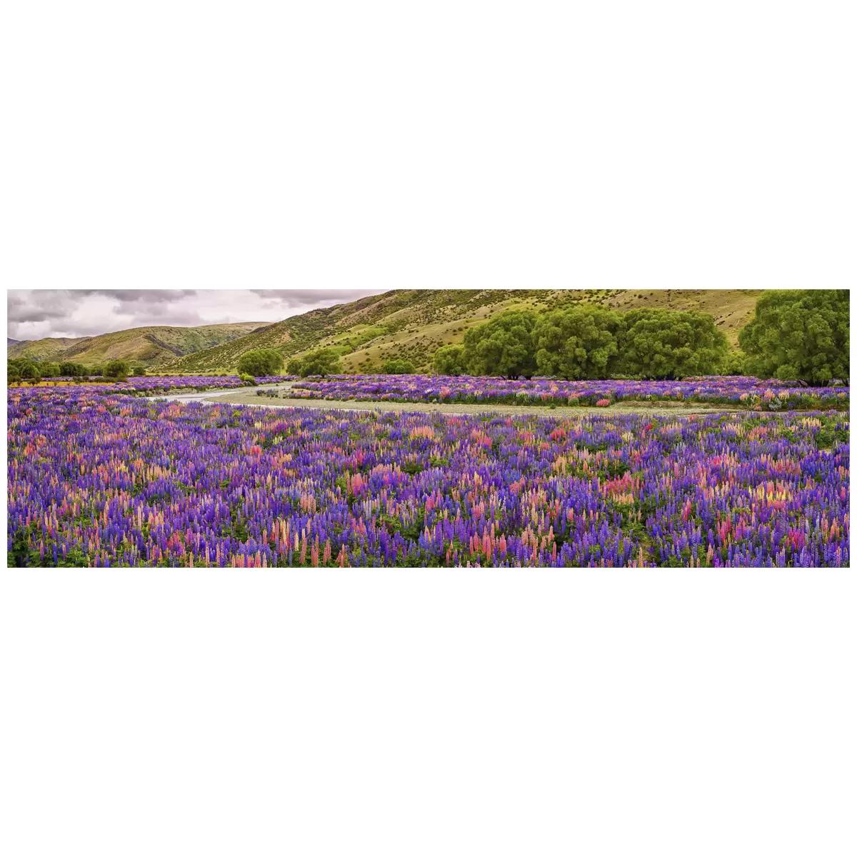 Ken Duncan Floral Canvas Framed Print Black 101.2 x 51.9cm