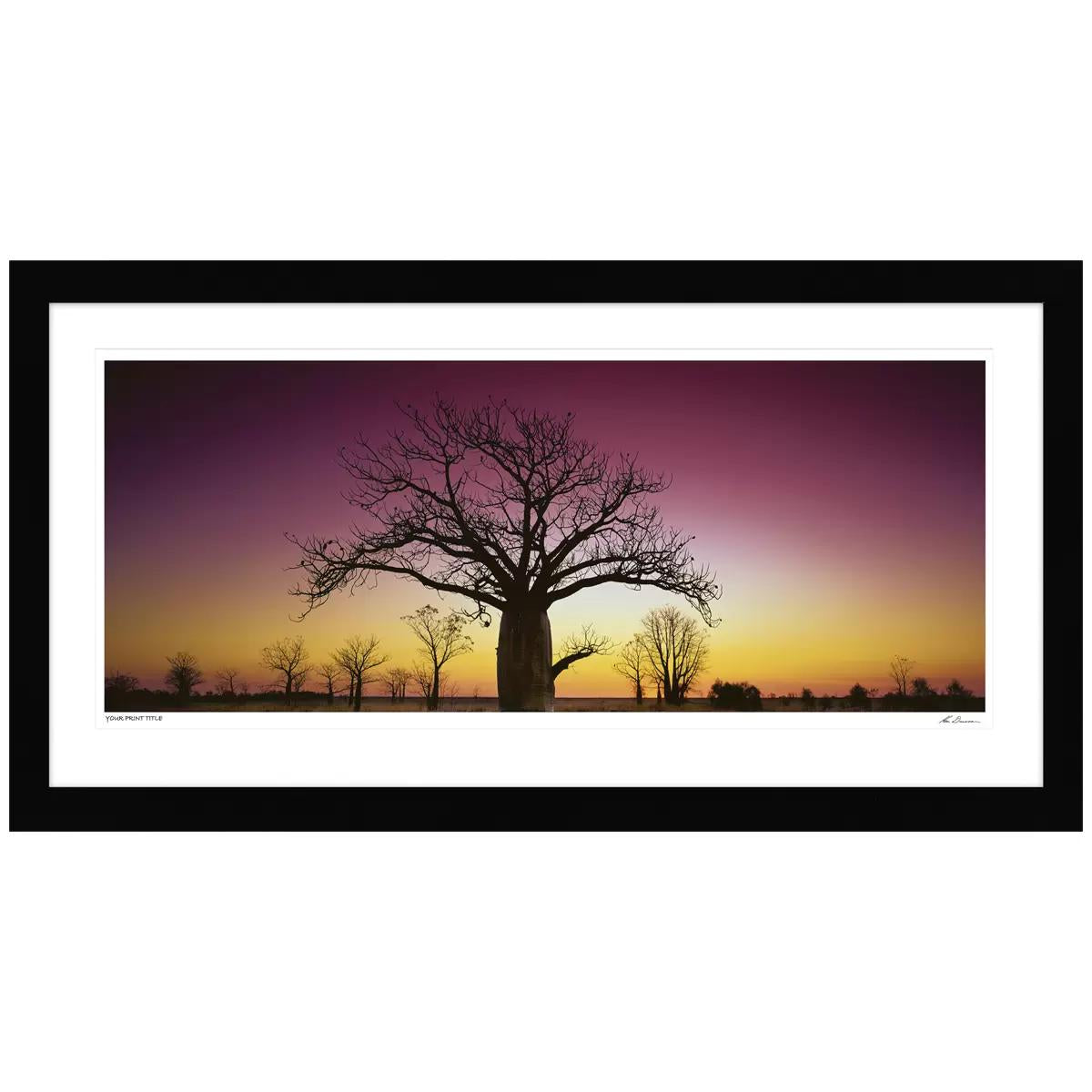 Ken Duncan Kimberley Boab WA Framed Print 127.6 x 67.6cm