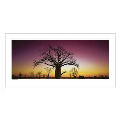 Ken Duncan Kimberley Boab WA Framed Print 127.6 x 67.6cm