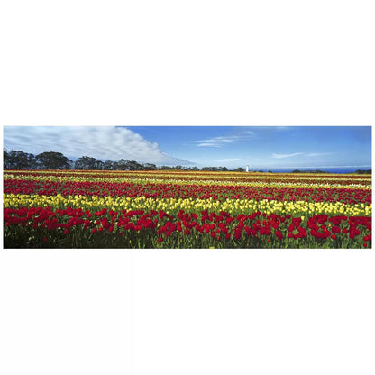 Ken Duncan Nature's Palette TAS Framed Print 51.9 x 101.2cm