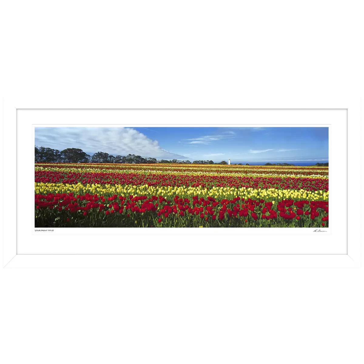 Ken Duncan Nature's Palette TAS Framed Print 51.9 x 101.2cm