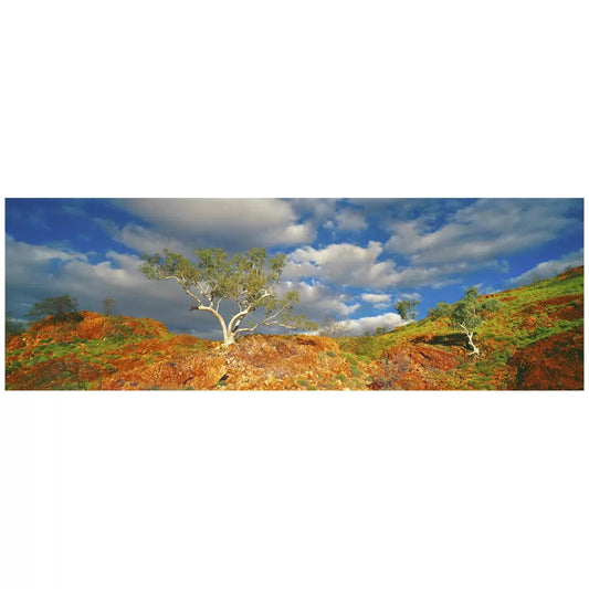 Ken Duncan Snappy Gums Marble Bar WA Framed Print 161 x 77.3cm