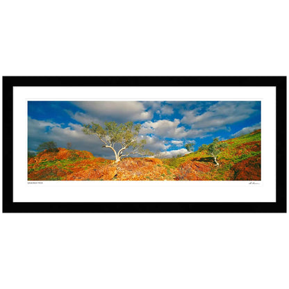 Ken Duncan Snappy Gums Marble Bar WA Framed Print White 101.2 x 51.9cm