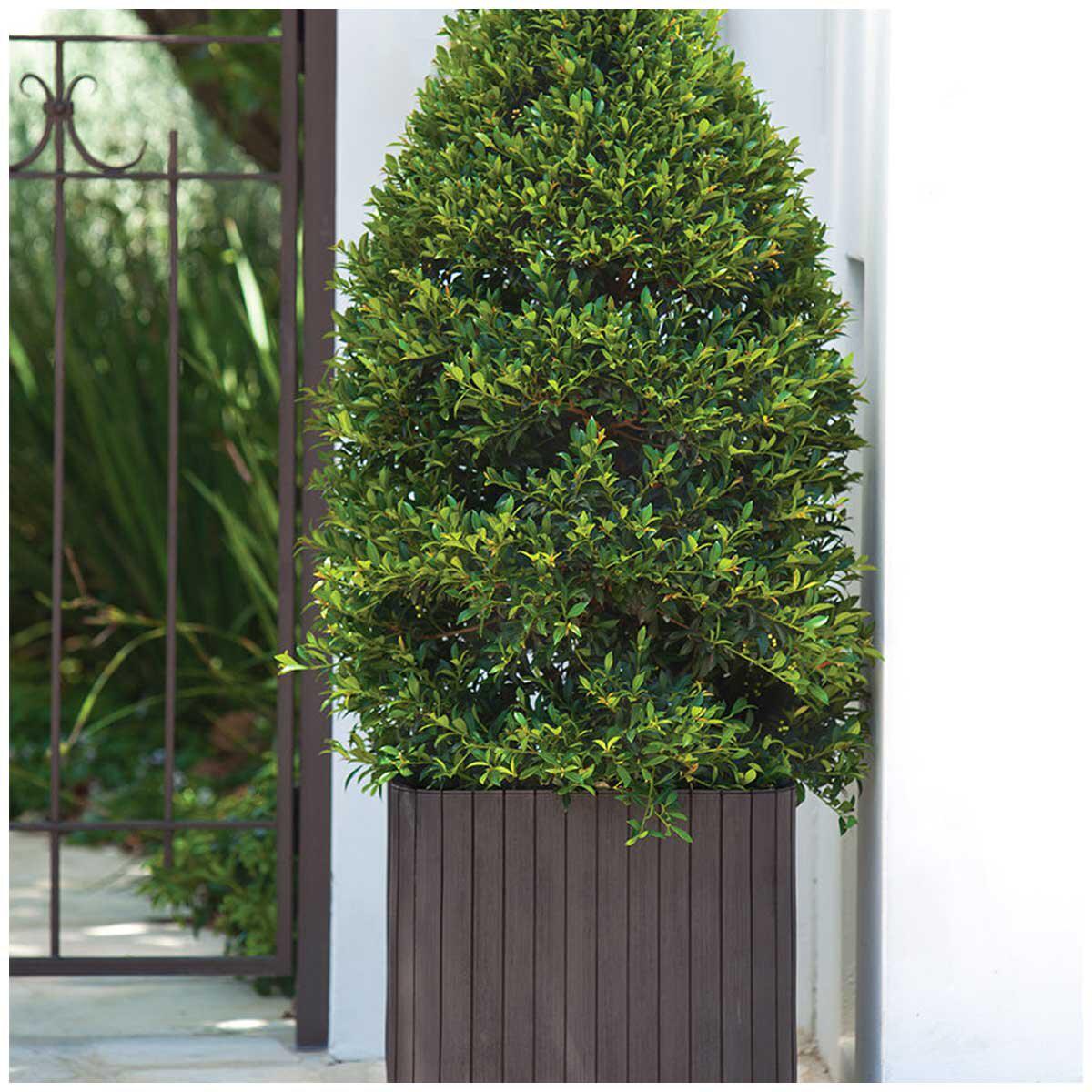 Keter Cube Planter Small And Medium 2 Piece Set