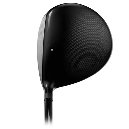 Kirkland Signature Adjustable Driver Regular