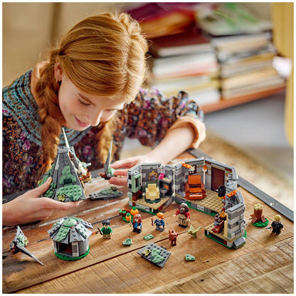 LEGO Harry Potter Hagrid's Hut An Unexpected Visit 76428